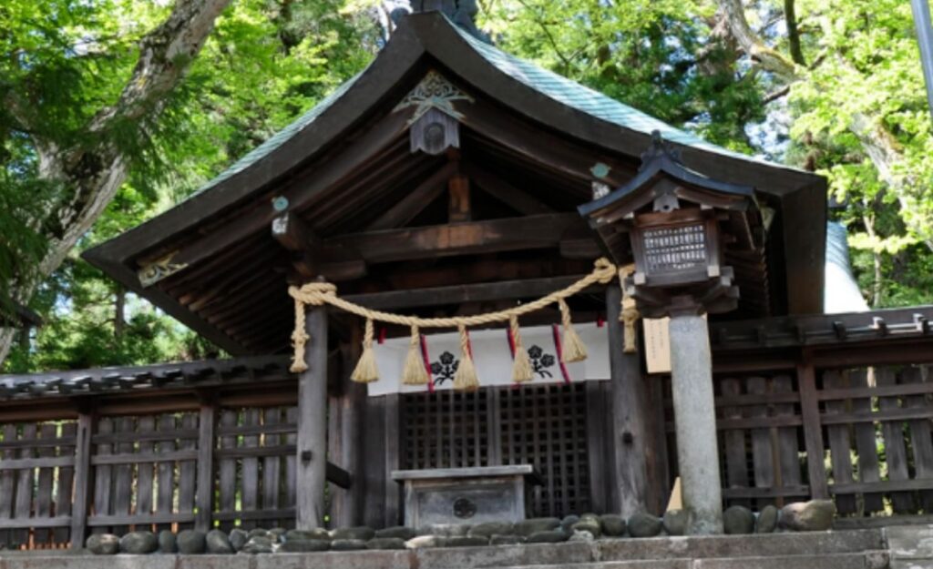 suwataisha_shimoshaharumiya